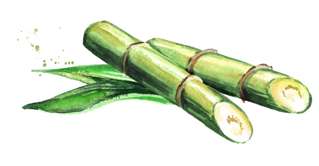 Terra Verde Sugar Cane